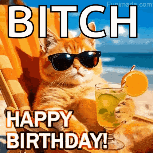 Birthday Cat GIF