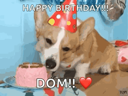 Birthday Corgi GIF