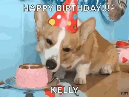 Birthday Corgi GIF