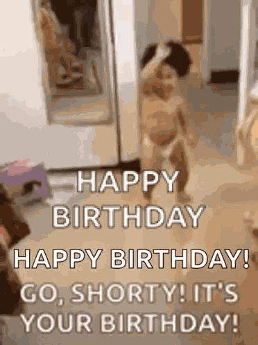 Birthday GIF