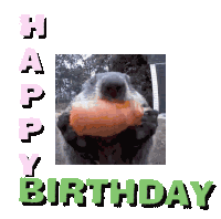 Birthday Geburtstag Sticker