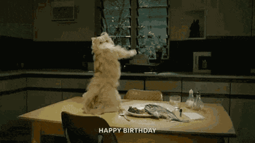 Birthday Happy Birthday GIF