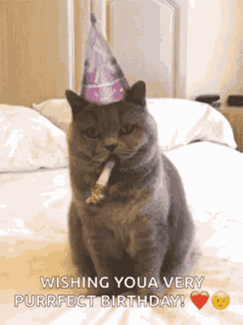 Birthday Happy Birthday GIF