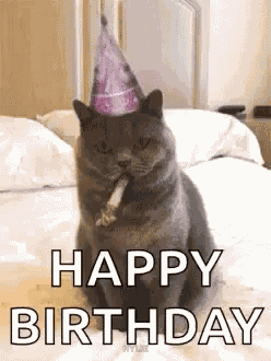 Birthday Happy Birthday GIF