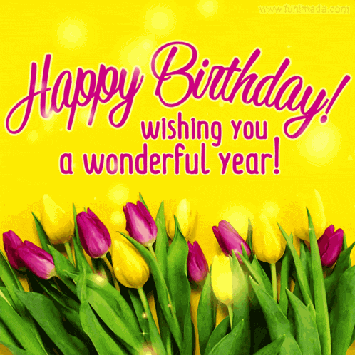 Birthday Happy Birthday GIF