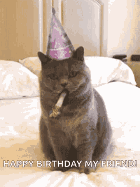 Birthday Happy Birthday GIF