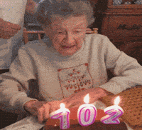 Birthday Happy Birthday GIF