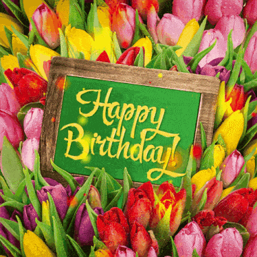 Birthday Happy Birthday GIF