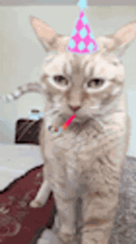 Birthday Happy GIF