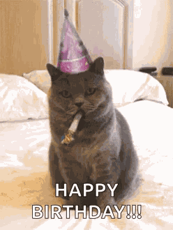 Birthday Happybirthday GIF