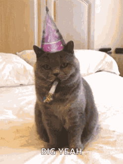 Birthday Happybirthday GIF