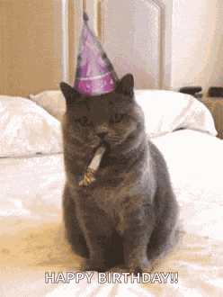 Birthday Happybirthday GIF