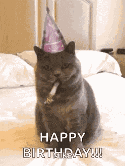 Birthday Happybirthday GIF