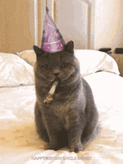 Birthday Happybirthday GIF