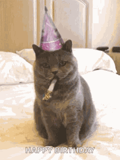 Birthday Happybirthday GIF
