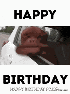 Birthday Wishes Birthday For Dog Lovers GIF