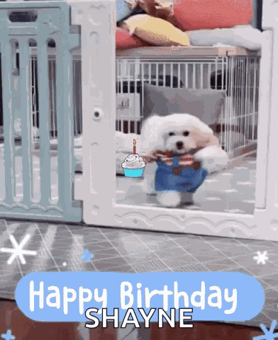 Birthday Wishes GIF
