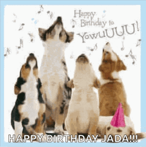 Birthday Wishes Happy Birthday Wishes Meme