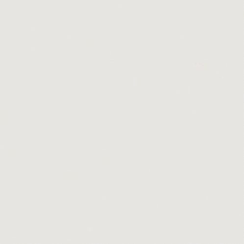 Birthday Wishes GIF