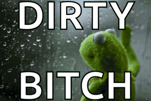 Bitch Meme