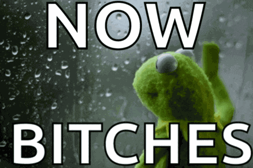 Bitches Meme