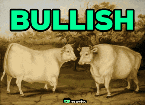 Bitcoin Bull GIF