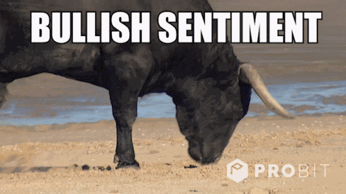 Bitcoin Cryptocurrency GIF