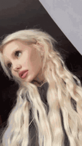 Bjelcat Ldontfckingcare GIF