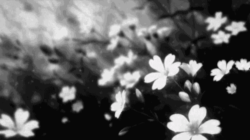 Black And White Anime GIF