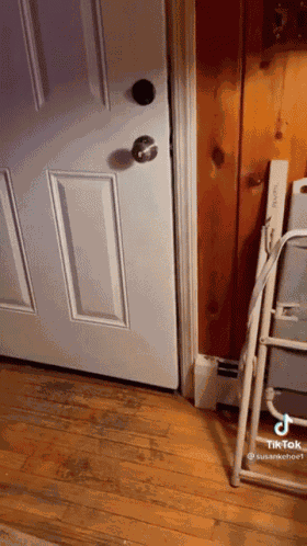 Black Bear House GIF