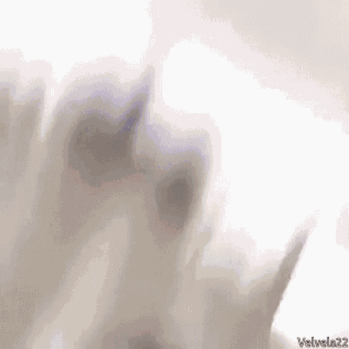 Black Boy Edition Black Guy GIF