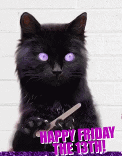 Black Cat Friday GIF