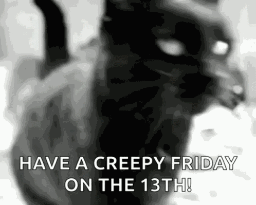 Black Cat Happy Friday The13th GIF