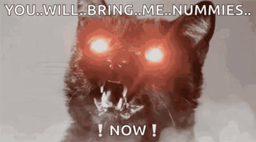 Black Cat Hiss GIF