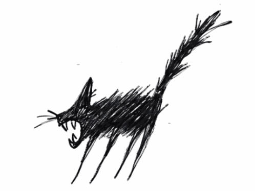 Black Cat Sketch Momo'S Sound Diary GIF