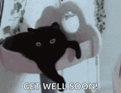 Black Cat Stretching GIF
