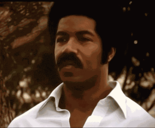 Black Dynamite Hush GIF