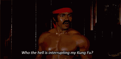 Black Dynamite Who The Hell Is Interrupting My Kung Fu GIF