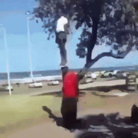 Black Kid Standing On Head Black Kid Standing On Guy'S Head GIF