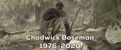 Black Panther Chadwick Boseman GIF