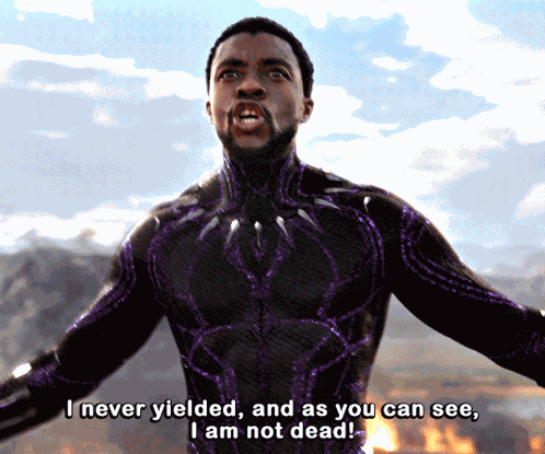 Black Panther Marvel Studios Black Panther GIF