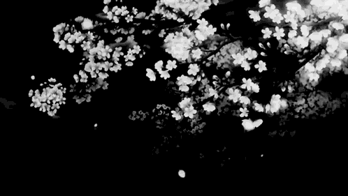 Black GIF