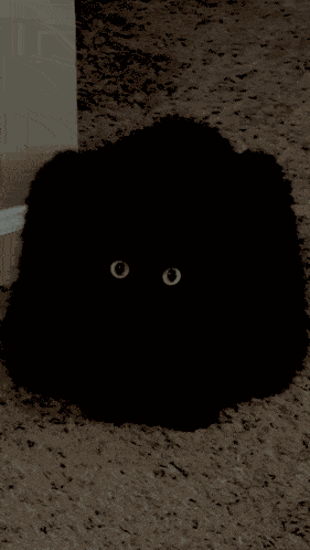 Black Void GIF