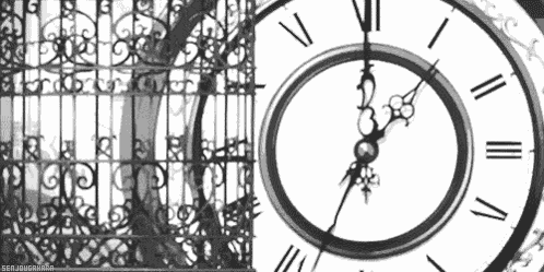 Black White GIF