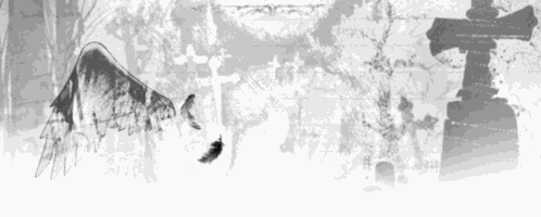 Black White GIF