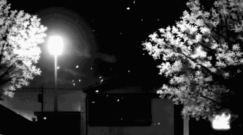 Black White GIF
