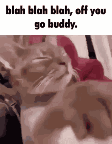 Blah Blah Blah Off You Go Buddy GIF