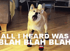 Blah Blah Blah Whatever GIF