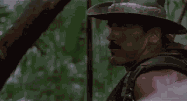 Blain Predator GIF