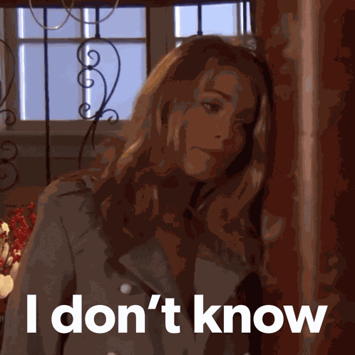 Blake Lively Confused GIF